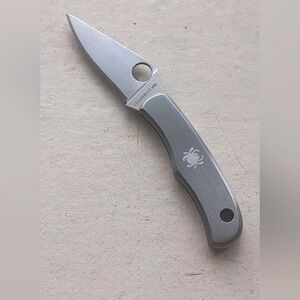 Spyderco "Bug" mini stainless steel folding knife 🕷